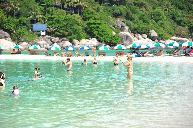 Koh Tao & Koh Nangyuan by Speed Boat (Snorkeling trip from Koh Samui) - How the group size changes the experience