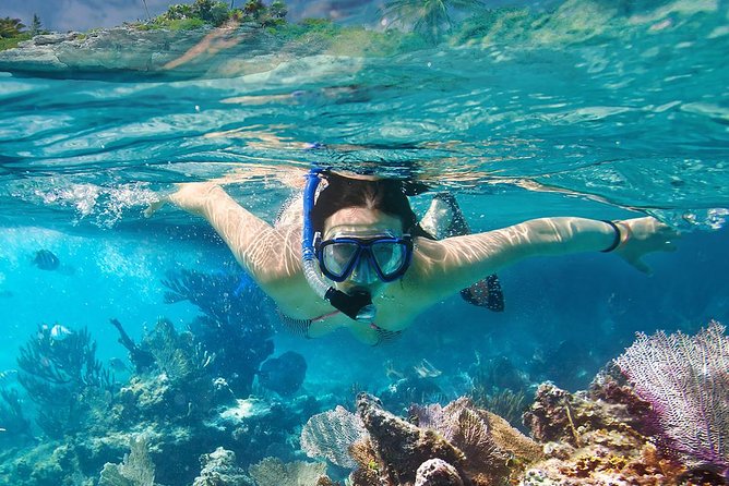 Koh Tao & Koh Nangyuan Snorkeling Tour by Speedboat from Ko Samui - Why this Koh Samui day trip appeals