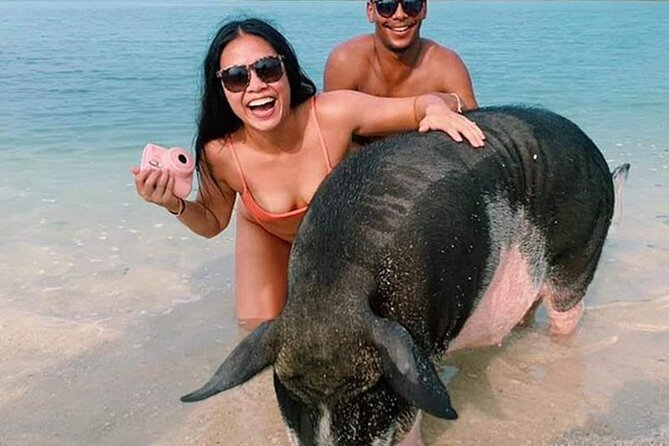 kohsamui.tours - Pig Island Snorkeling Eco Tour by Speed Boat - Key points to know before booking