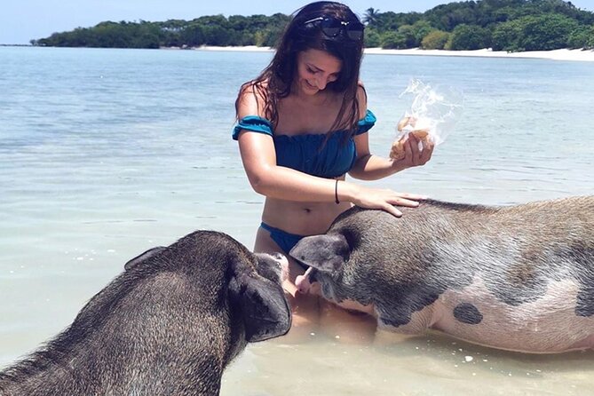 kohsamui.tours - Pig Island Snorkeling Eco Tour by Speed Boat - Who will enjoy this outing most
