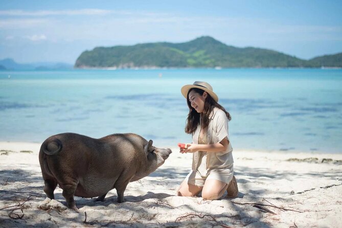 kohsamui.tours - Pig Island Snorkeling Eco Tour by Speed Boat - Koh Tan and its coral reef