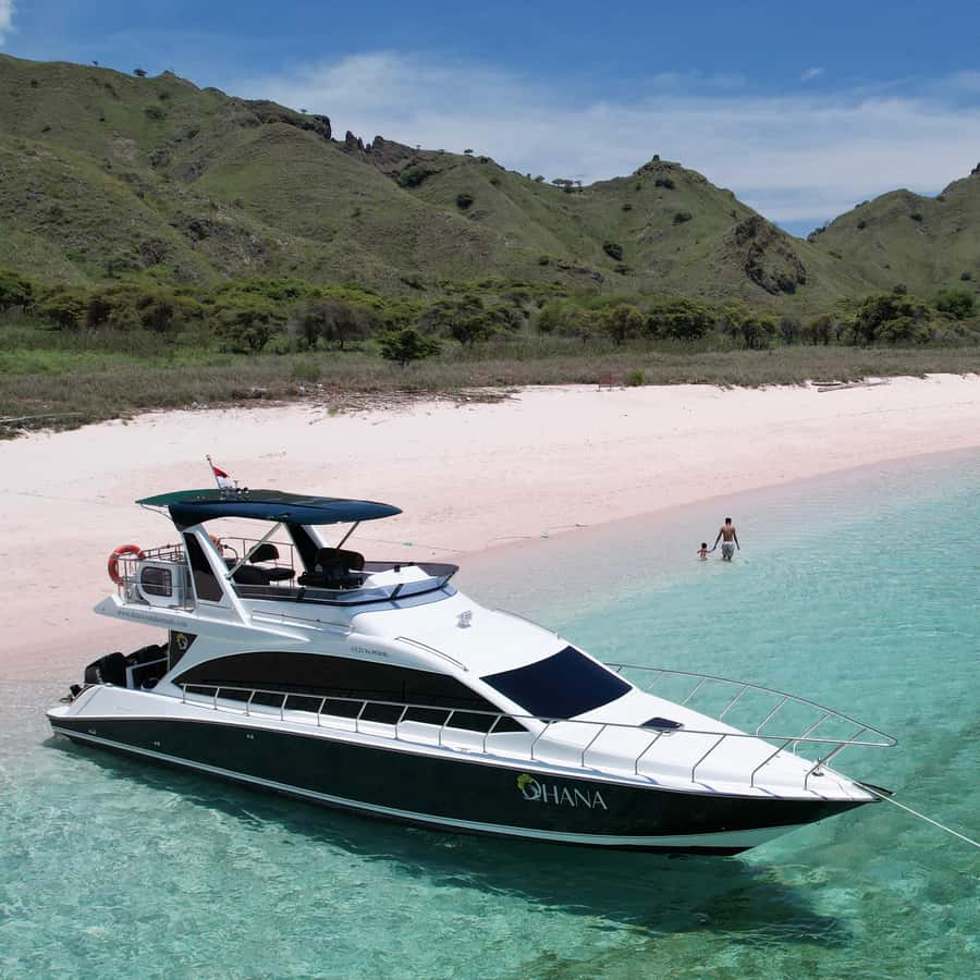 Komodo Full Day Speedboat Tour from Labuan Bajo - Manta Point: the day’s most thrilling water stop