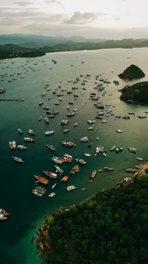 Komodo Full Day Speedboat Tour from Labuan Bajo - Should you book it?