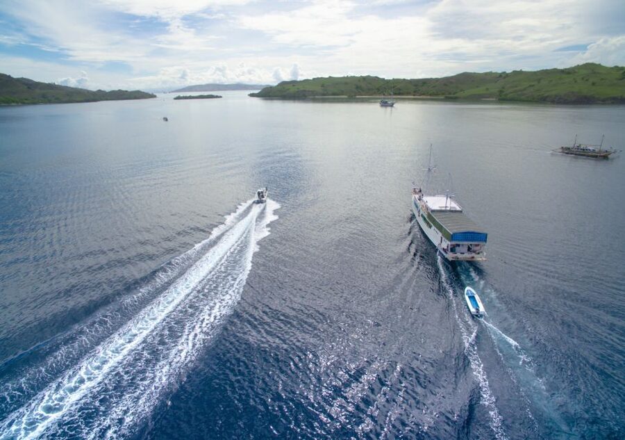 Komodo Island: 3D2N Private Speedboat Tour with Hotel - Who should choose this tour