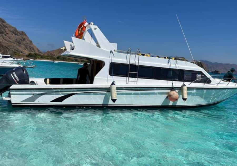 Komodo Island: 3D2N Private Speedboat Tour with Hotel - Practical details before booking