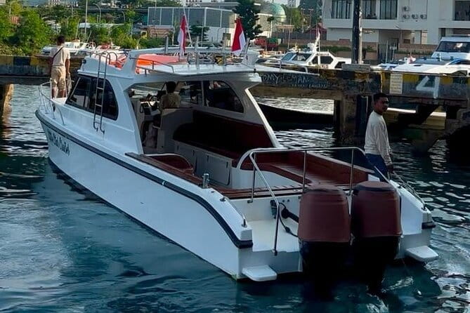 Komodo & Snorkeling Adventure by Private Speedboat - Meeting Komodo dragons on Komodo Island