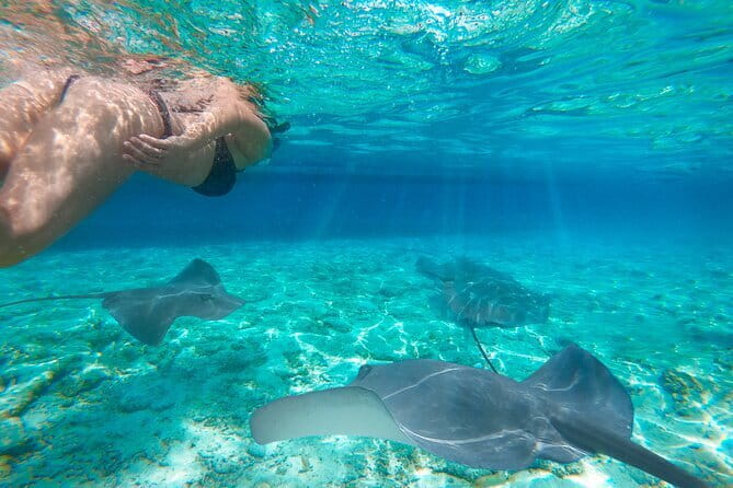 Komodo & Snorkeling Adventure by Private Speedboat - Siaba, Sebayur, and Hantamin Island