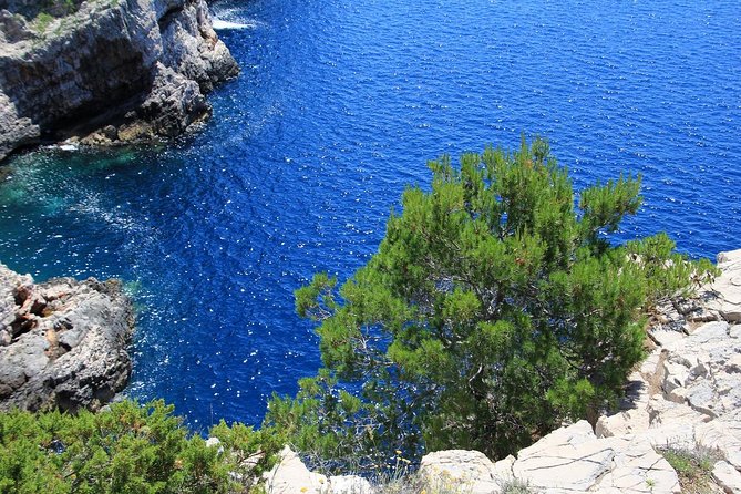 KORNATI by speed boat - Key points before you book