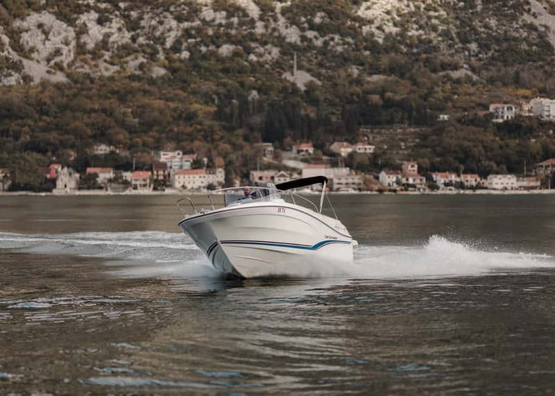 Kotor: Bay of Kotor and Blue Cave Speedboat Tour - Should you book the Bay of Kotor Blue Cave tour?