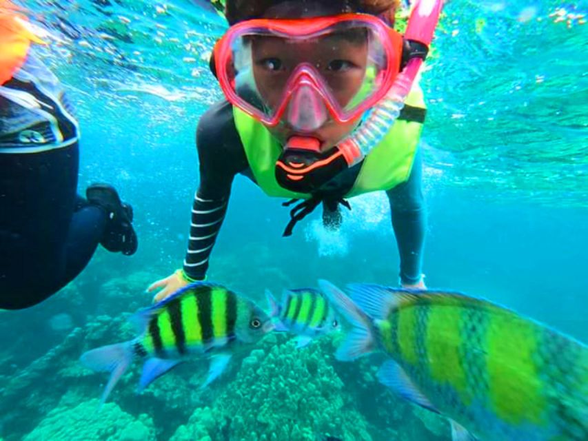 Krabi: Koh Rok & Koh Haa Hidden Snorkeling Tour by Speedboat - Starting with hotel pickup and the pier transfer