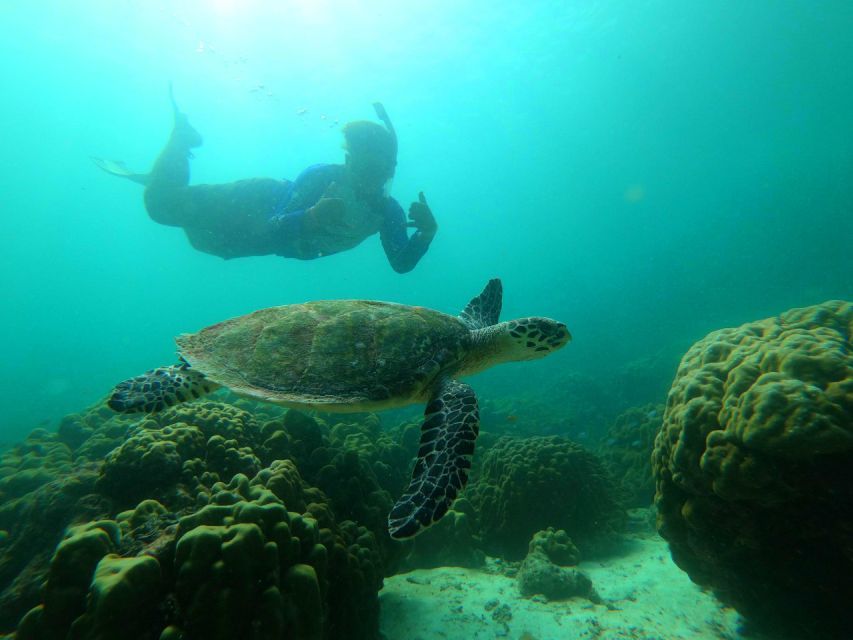 Krabi: Koh Rok & Koh Haa Hidden Snorkeling Tour by Speedboat - Thai lunch on the beach keeps the day moving