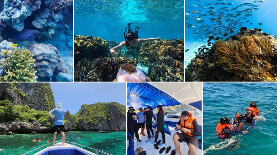 Krabi: Phi Phi Islands Full-Day Private Speedboat Charter - Loh Samah Bay snorkeling