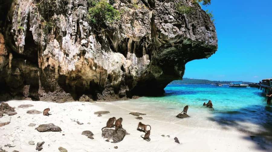 Krabi: Phi Phi Islands Full-Day Private Speedboat Charter - Pileh Lagoon, Viking Cave, and the Phi Phi cliffs
