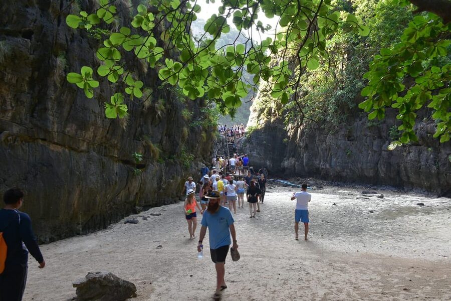 Krabi: Phi Phi Islands & Maya Bay Speedboat Tour with Lunch - Shared or private: choose the right version