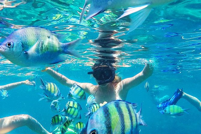 Krabi to Phi Phi Islands by Speedboat - Beachside lunch and the practical value of the package