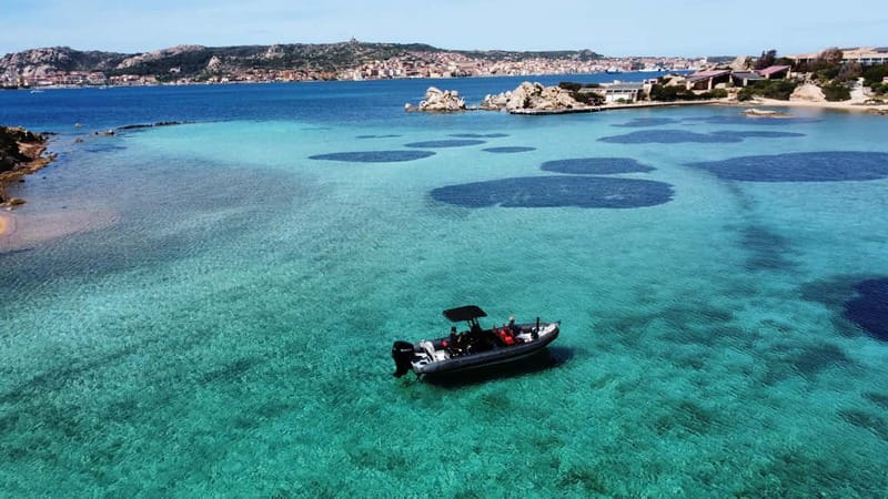 La Maddalena Archipelago: Private Trip by Zodiac (RIB) - Pink Beach and the protected waters near Budelli
