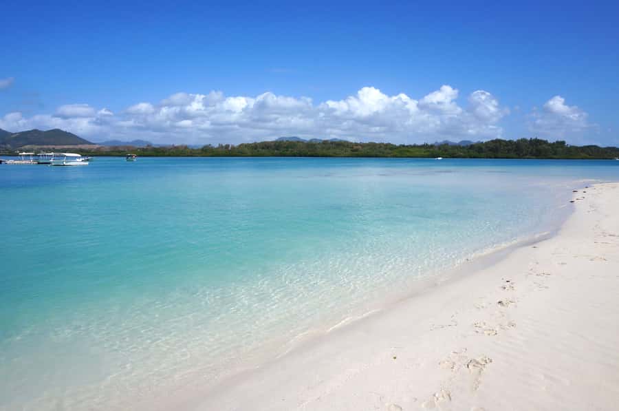 La Preneuse: Dolphin Swimming and Snorkeling Speedboat Trip - Speeding along the west coast