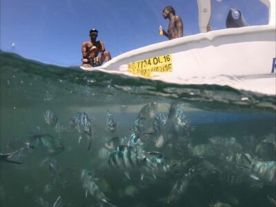 La Preneuse: Dolphin Watching and Snorkeling Speedboat Tour