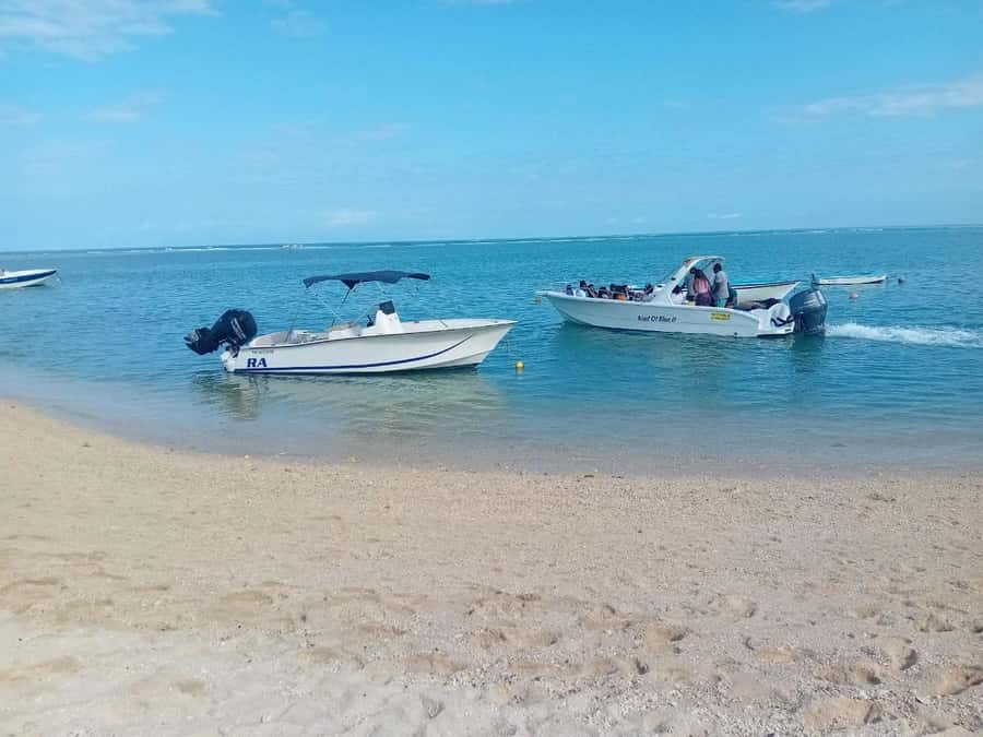 La Preneuse: Dolphin Watching and Snorkeling Speedboat Tour - FAQ