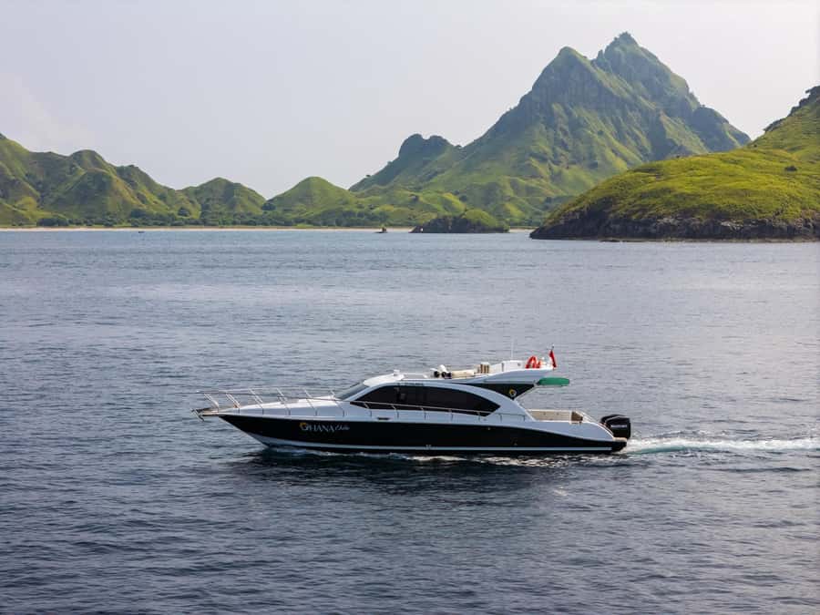 Labuan Bajo: Komodo National Park Full-Day Speedboat Tour - Why this speedboat day works so well