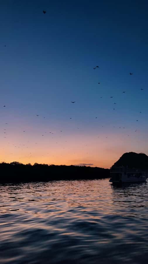 Labuan bajo: One Day Komodo Private & Shared Speedboat Trip - Snorkeling at Manta Point and Turtle Point