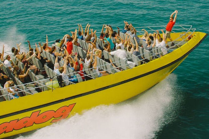 Lake Michigan 30-Minute Speedboat Ride - A quick burst of Chicago from Navy Pier