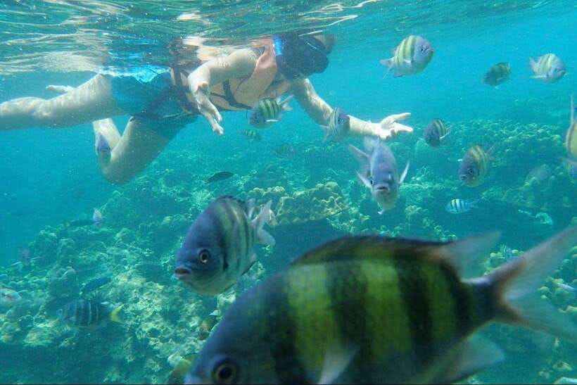 Langkawi: Dangli Island Snorkel and Swim Speedboat Tour - What can affect the experience
