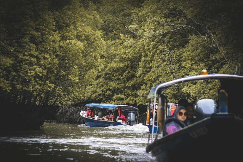 Langkawi: Tanjung Rhu Mangrove Speedboat Tour - Practical details that make the day easier