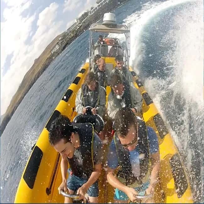 Lanzarote: Dolphin Watching by speedboat - Who will enjoy the Waverider most?