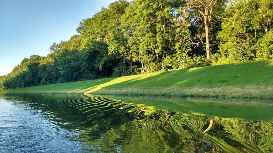 Leipzig: 2-hour Auwald Motorboat Tour - Scheibenholz racecourse and the city’s changing edge
