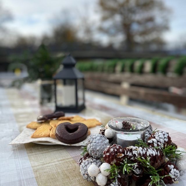 Leipzig: Mulled Wine Motorboat Tour - Mulled wine, tea, cookies, and cold-weather comfort