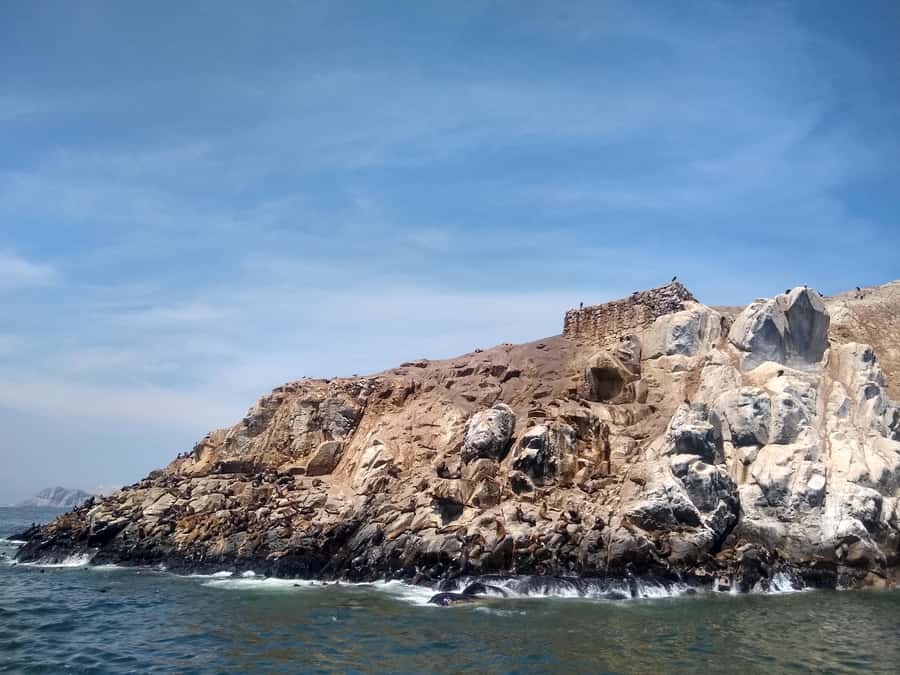 Lima: Palomino Islands Speedboat Tour & Swim with Sea Lions - Swimming beside the Palomino sea lions