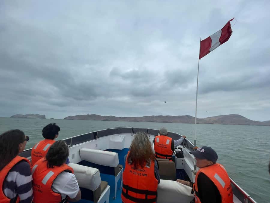 Lima: Palomino Islands Speedboat Tour & Swim with Sea Lions - What the 270-minute schedule feels like