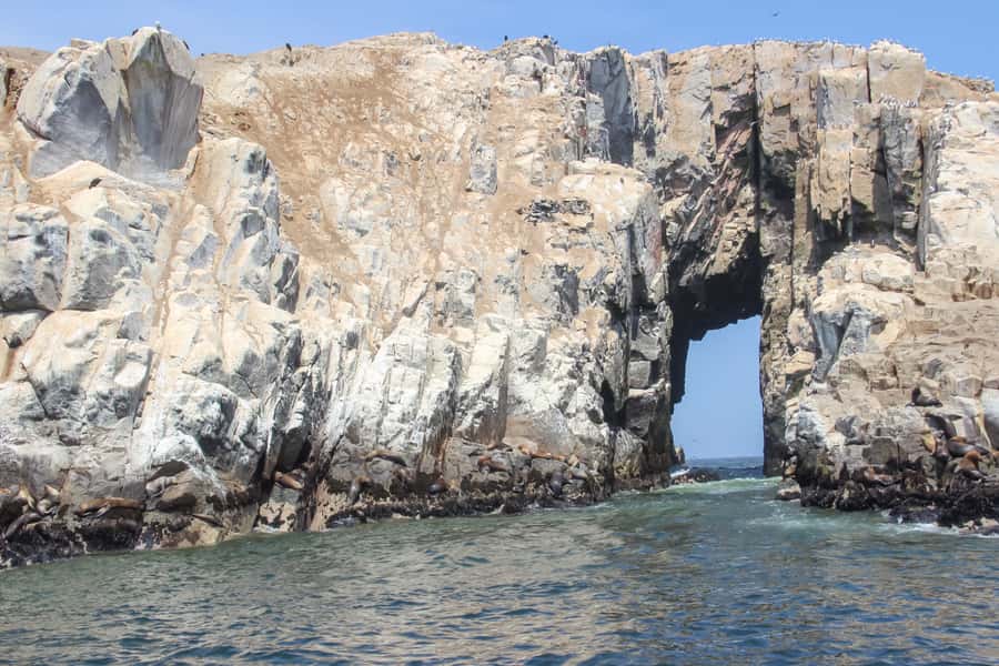 Lima: Palomino Islands Speedboat Tour & Swim with Sea Lions - From your Lima hotel to Callao Harbor