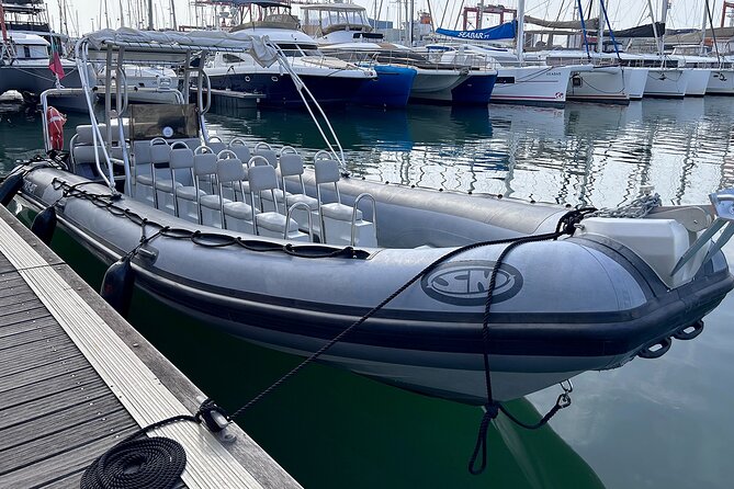 Lisbon Landmarks by Speedboat: Private 1-Hour Tour on the Tagus - Modern science and the 25 de Abril Bridge