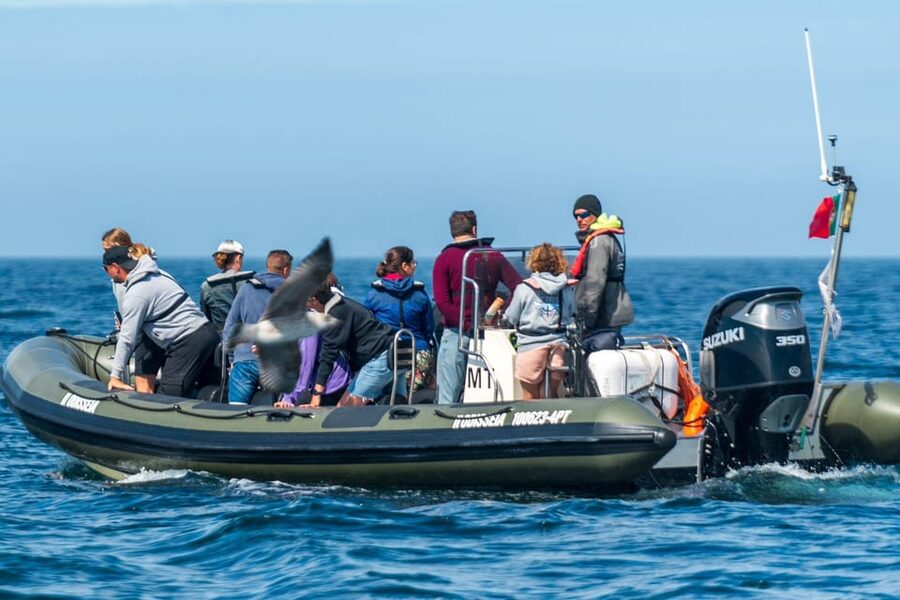 Lisbon: Speedboat Trip to Bugio Lighthouse - Who will enjoy the RIB ride most