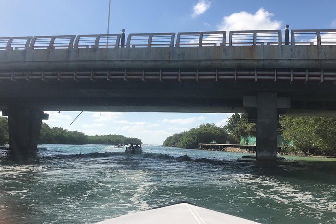 Live the experience of driving an Speedboat & Snorkel in CANCUN - Who will enjoy this Cancun boat tour