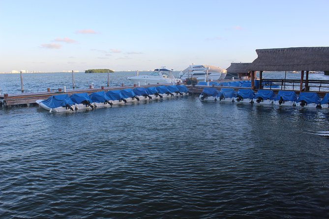 Live the experience of driving an Speedboat & Snorkel in CANCUN - Should you book the Speedboat and Snorkel tour?