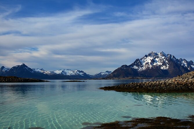 Lofoten RIB Sea Eagle Safari and Trollfjord Cruise - What the $128.94 price means