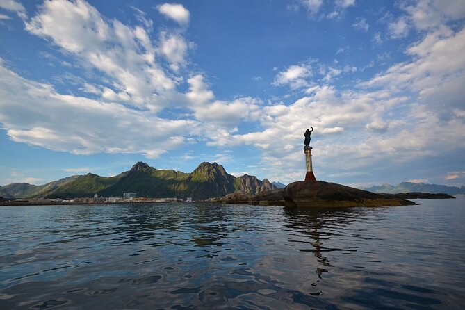 Lofoten RIB Sea Eagle Safari and Trollfjord Cruise - Should you book the Lofoten RIB Sea Eagle Safari?