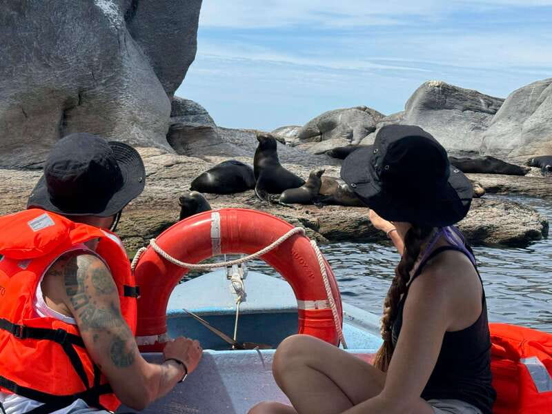 Loreto: Speedboat Tour with Swimming, Snorkeling and Picnic - Is $100 a fair price?
