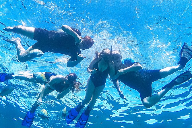 Los Cabos Snorkeling Tour by Speed Boat with Photos Included - What the crew adds to the experience