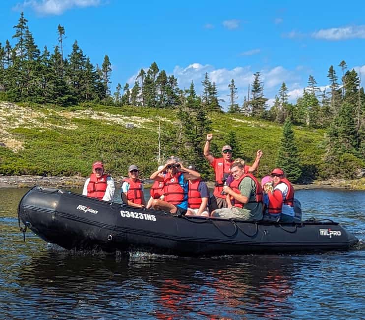 Lunenburg: Zodiac Wildlife Tour with Naturalist Guide - Wildlife watching along the Atlantic