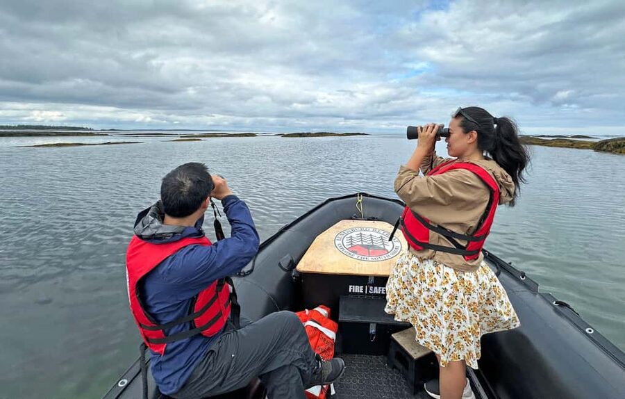 Lunenburg: Zodiac Wildlife Tour with Naturalist Guide - Who should book this tour