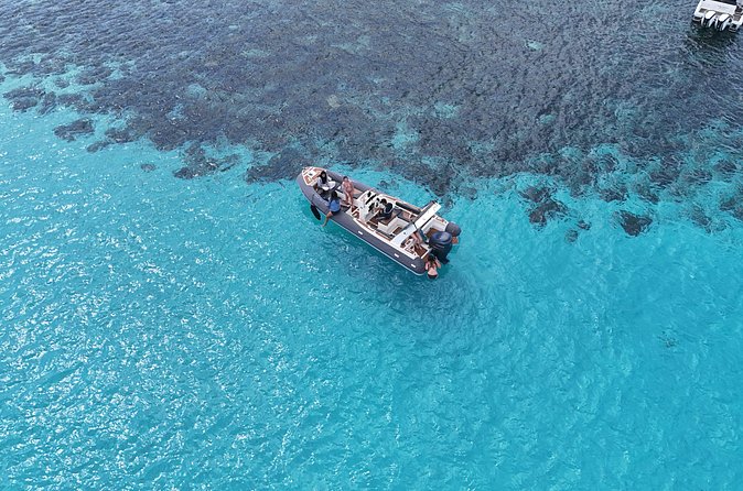 Luxury RIB Tour in Gozo Coast, Blue Lagoon and Comino Caves - What the boat, crew, and price mean for you