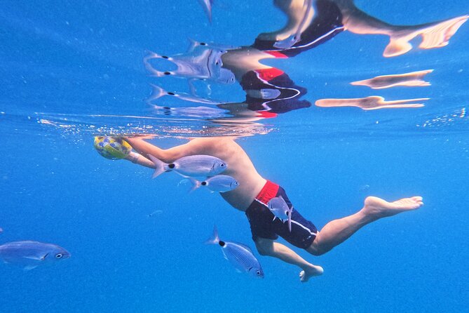 Makarska: 3-Island Speedboat Tour with Cave and Blue Lagoon - Swimming into the blue cave at Pokrivenik