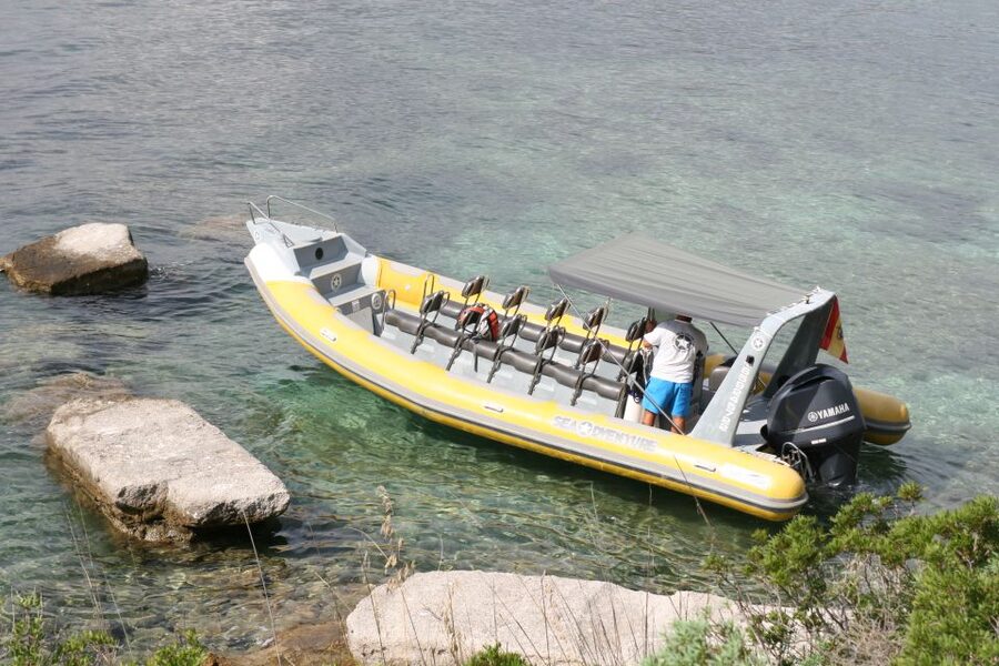 Mallorca : Speedboat, Snorkelling and Swimming Adventure - Seeing Formentor’s beach, villas, and old hotel