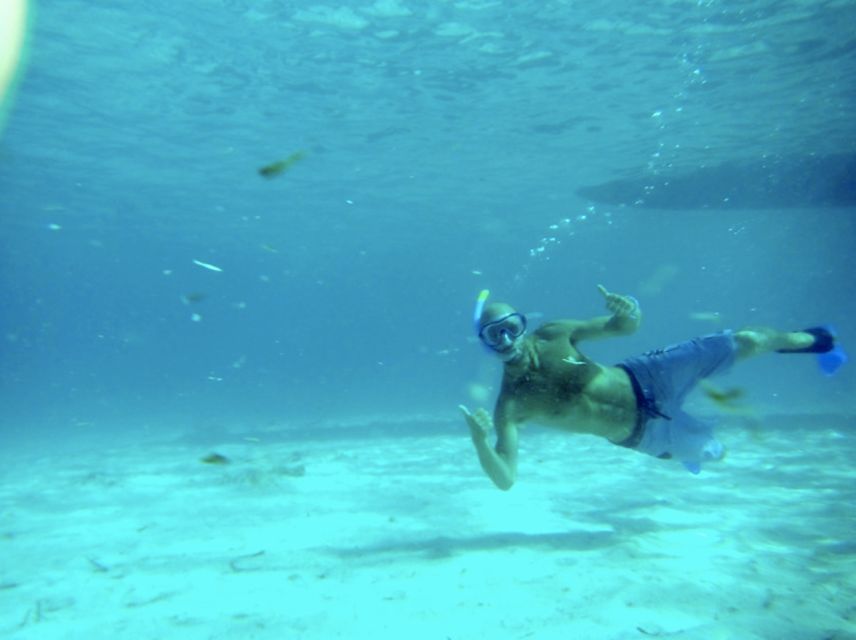 Mallorca : Speedboat, Snorkelling and Swimming Adventure - What the $40 price really covers