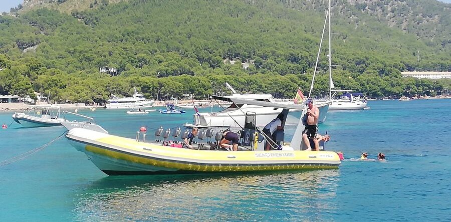 Mallorca : Speedboat, Snorkelling and Swimming Adventure - Who should book this Formentor boat trip?