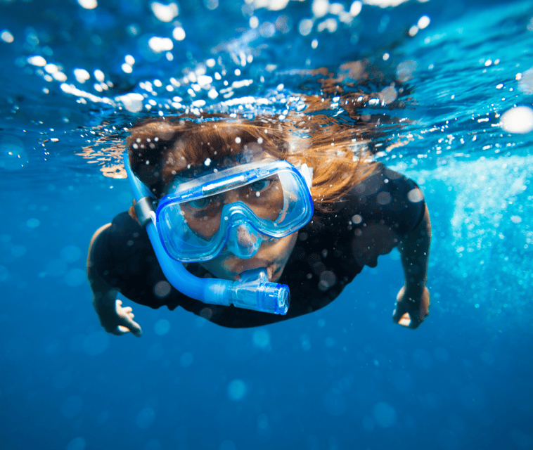 Mallorca: Visit Palma Speedboat adrenaline & snorkelling - Who will enjoy this speedboat outing